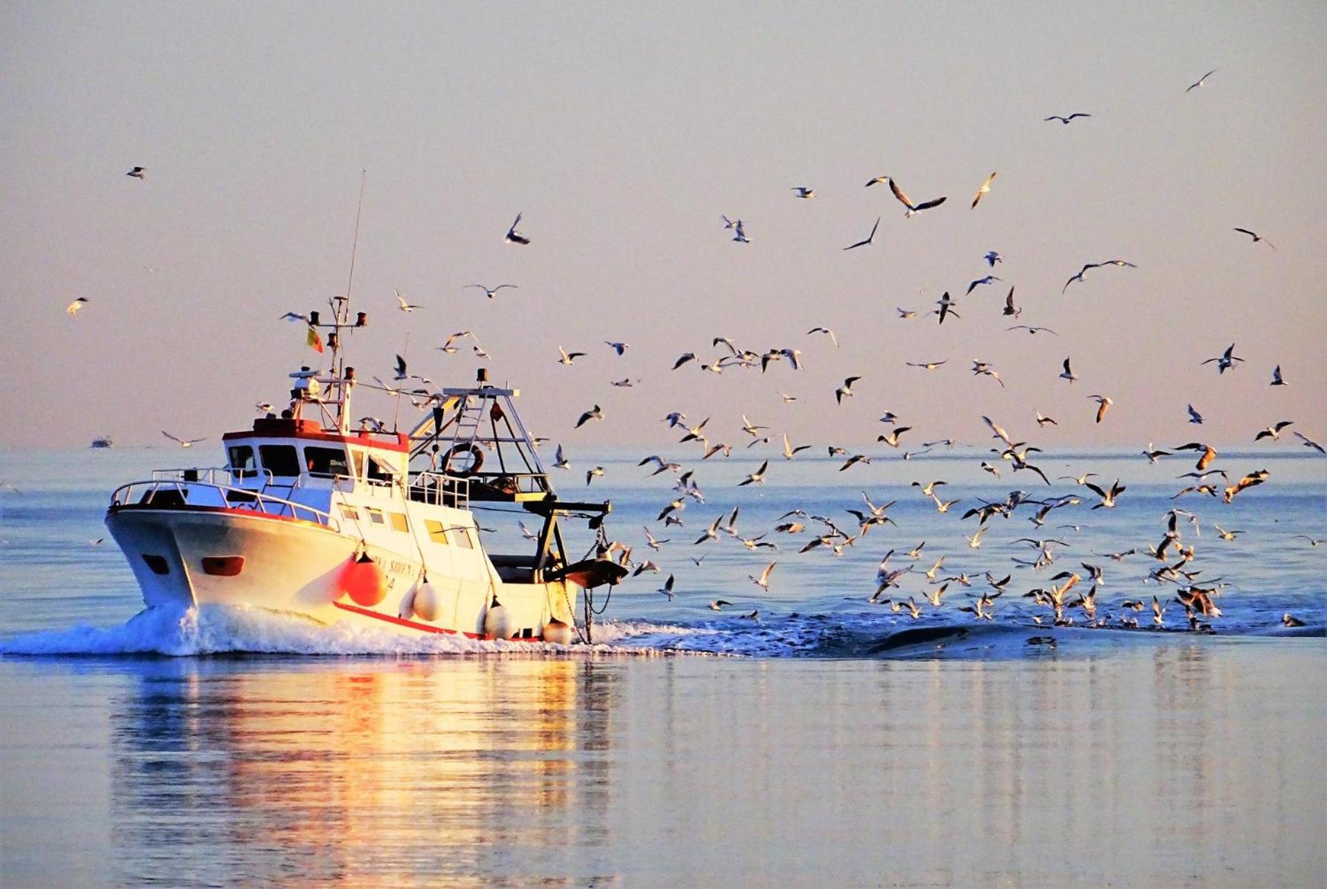 La Casa Del Pescatore N 33 - Porto Di St Spirito Bari Extérieur photo